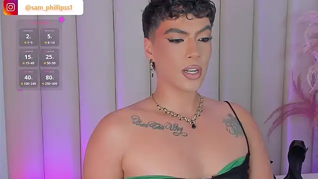 sam_phillipss webcam