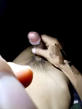 dilangmz webcam