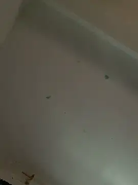 MiraLu webcam
