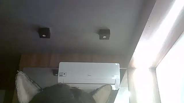SkinnyKitten webcam