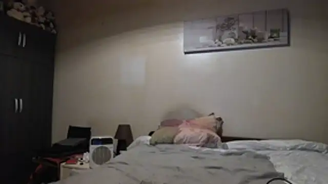 Hgay6935 webcam