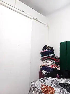 HipsDontLieX95 webcam
