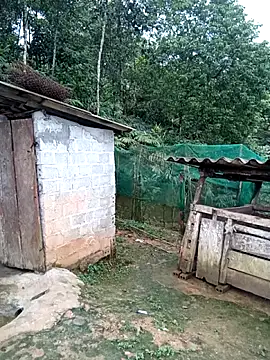 kalara_kail webcam