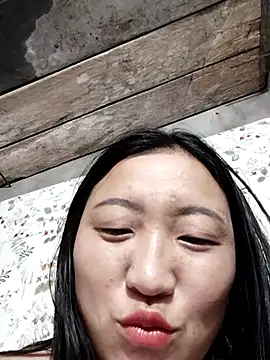 zhen-zo webcam