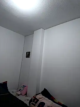 Iwarii webcam