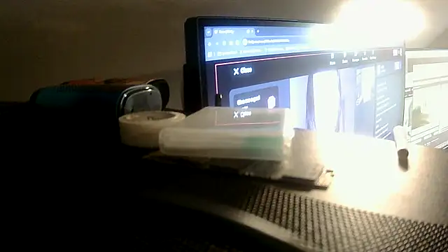 monty19cm webcam