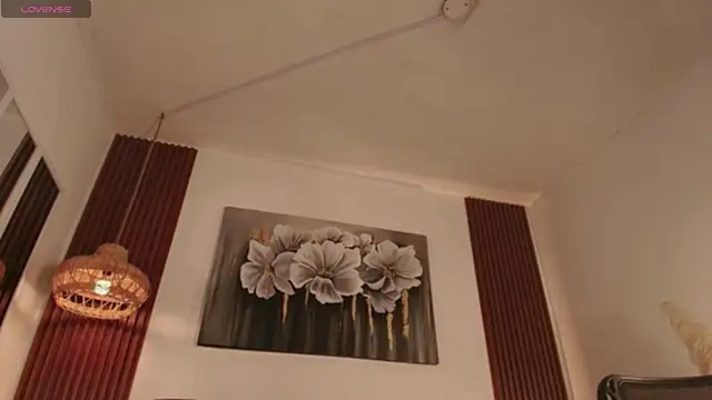 Alice-blaker webcam