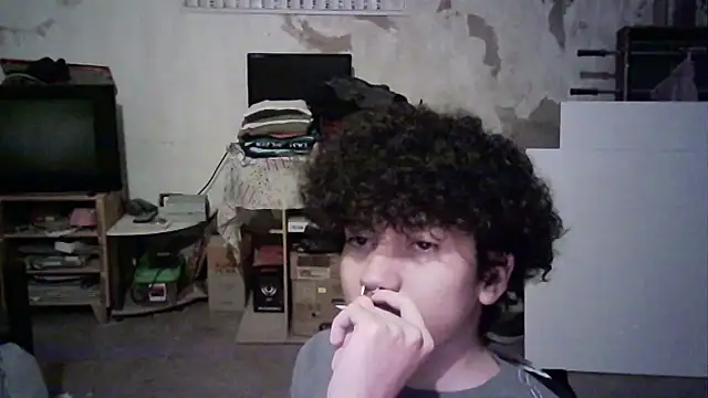 Emv2 webcam