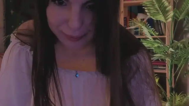 Alice-Lidel webcam