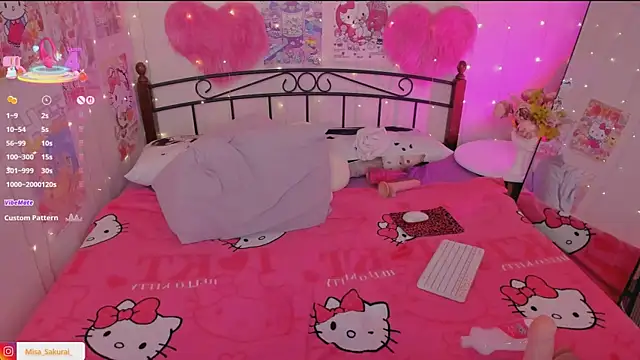 Misa_Sakurai webcam