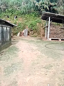 kalara_kail webcam