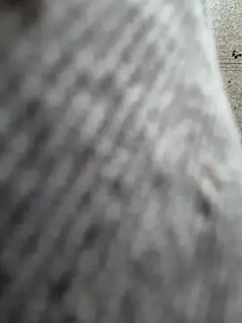Vivivim webcam