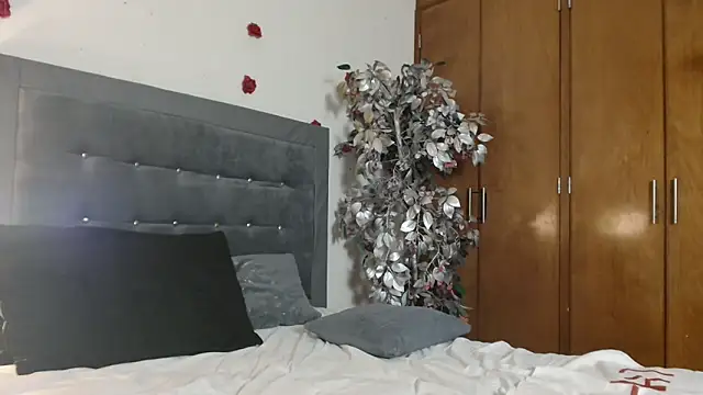 3littles webcam