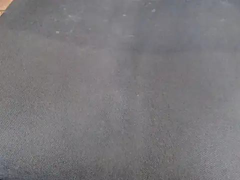 -your-bitch webcam