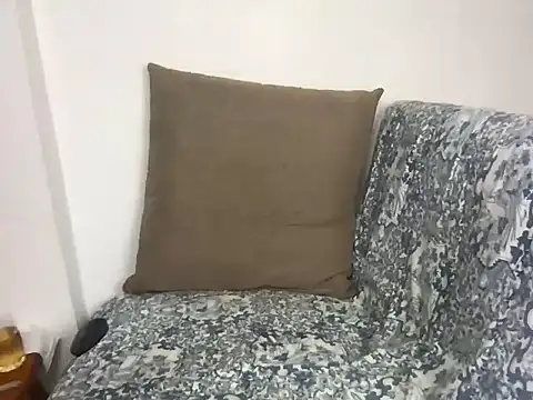 velvetvista webcam