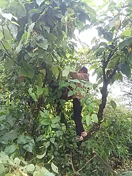 cutebobi live sex cam