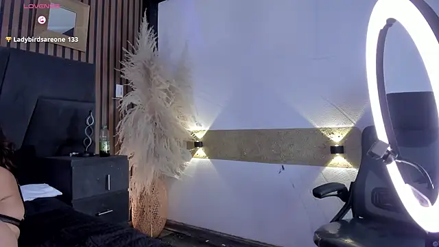 MarcoAndAllice webcam