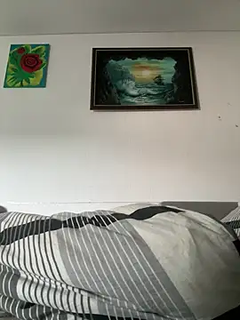 Toyjungee webcam