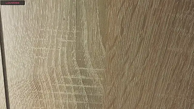 NoFace_Model webcam