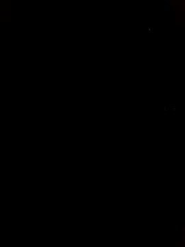 Ridick2025 webcam
