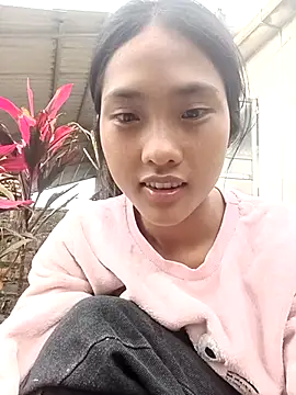 Hoa-tuylip webcam