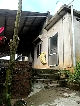 Hoa-tuylip webcam