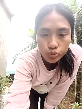 Hoa-tuylip