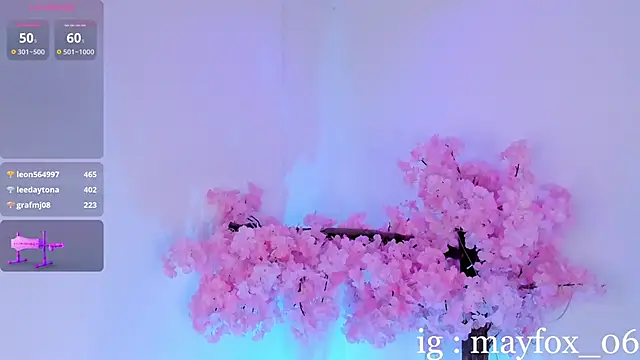 May_Fox_ webcam