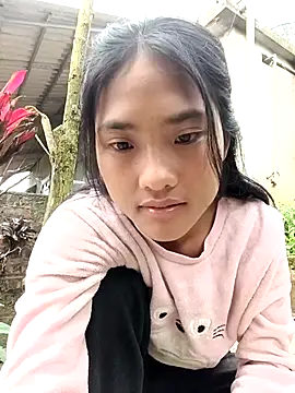 Hoa-tuylip webcam