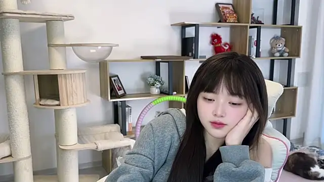 美女SakuraCat6在线直播