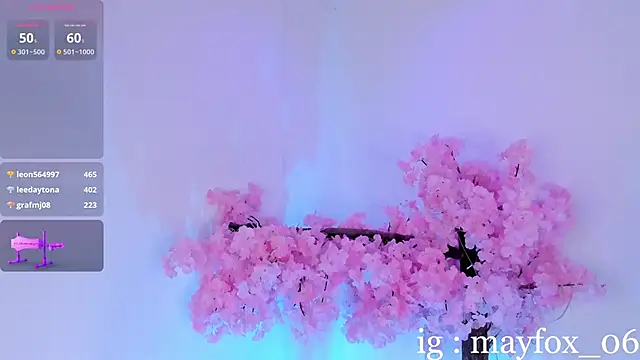 May_Fox_ webcam