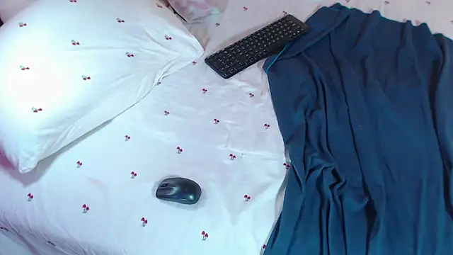 Q_T_pie webcam