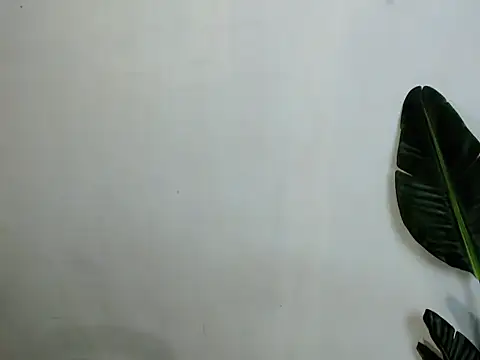 sweetiie_caren webcam