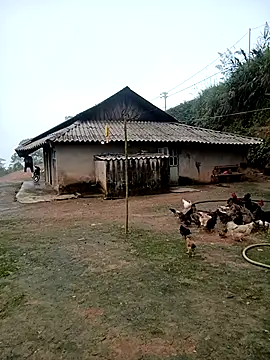 kalara_kail webcam