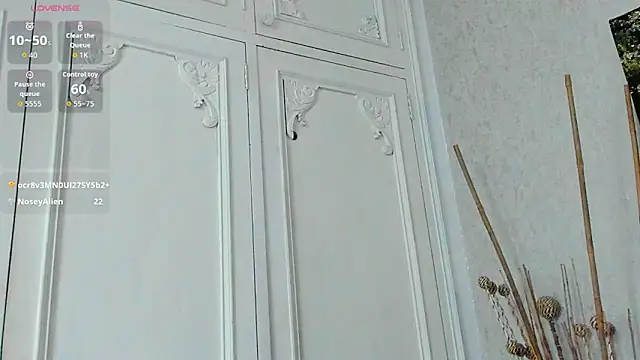 Tyler_durten webcam