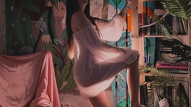 Alice-Lidel webcam