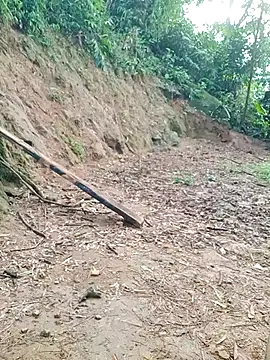 ngockem