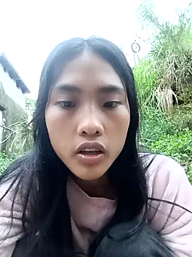 Hoa-tuylip
