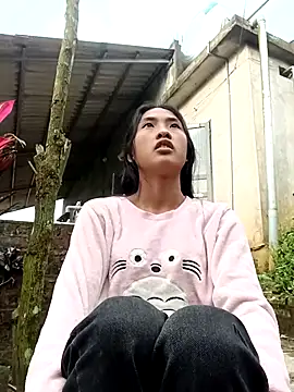 Hoa-tuylip