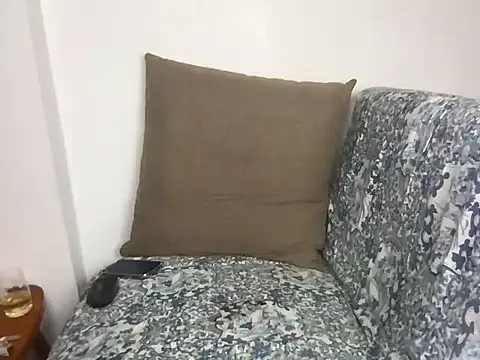 velvetvista webcam