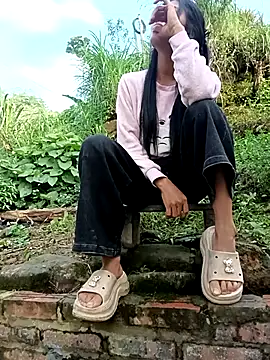 Hoa-tuylip