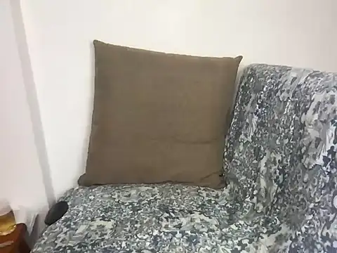 velvetvista webcam
