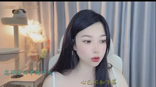 facai-feifei webcam