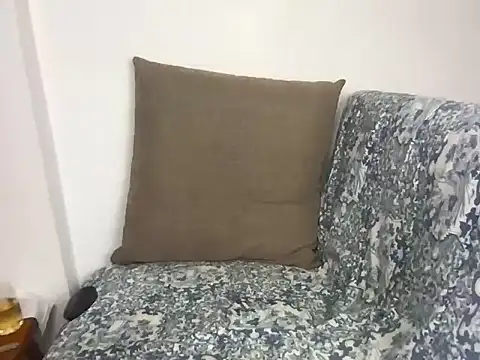 velvetvista webcam
