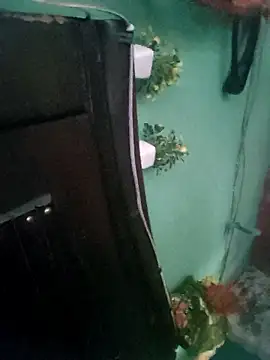 bhavna_pandit webcam