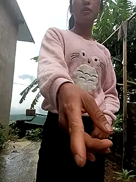 Hoa-tuylip
