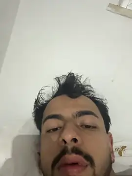 artzin2334 webcam
