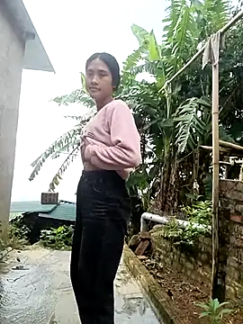 Hoa-tuylip