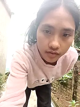 Hoa-tuylip
