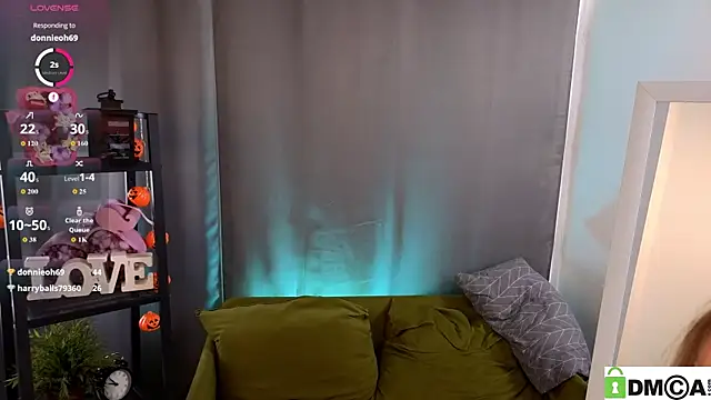 Sue_Sanders webcam
